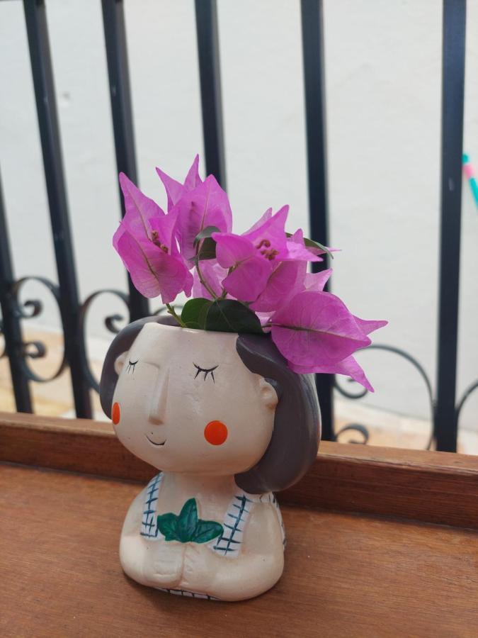 Buganvilia Pousada & Bistro Santa Cruz  외부 사진